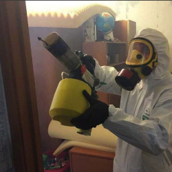 Уничтожение клопов в квартире. Воскресенск